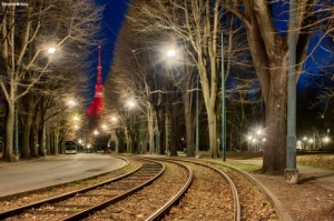 Un secolo attraverso i Giardini Reali