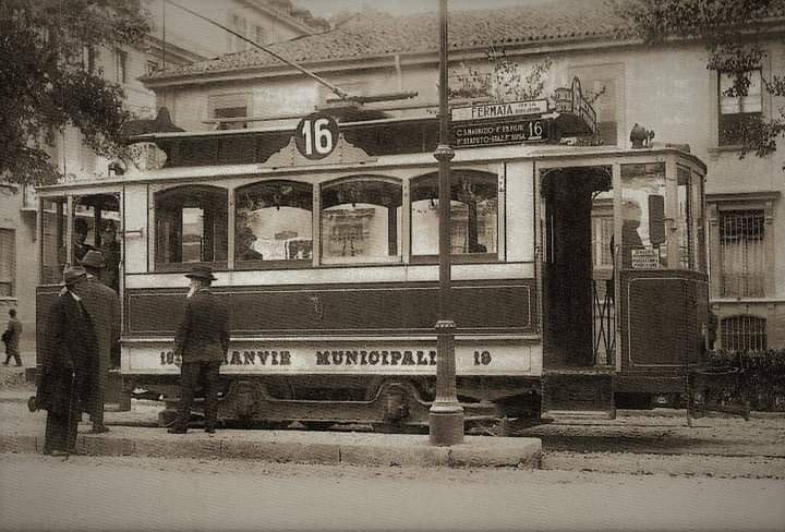 Tram della Linea dei Viali