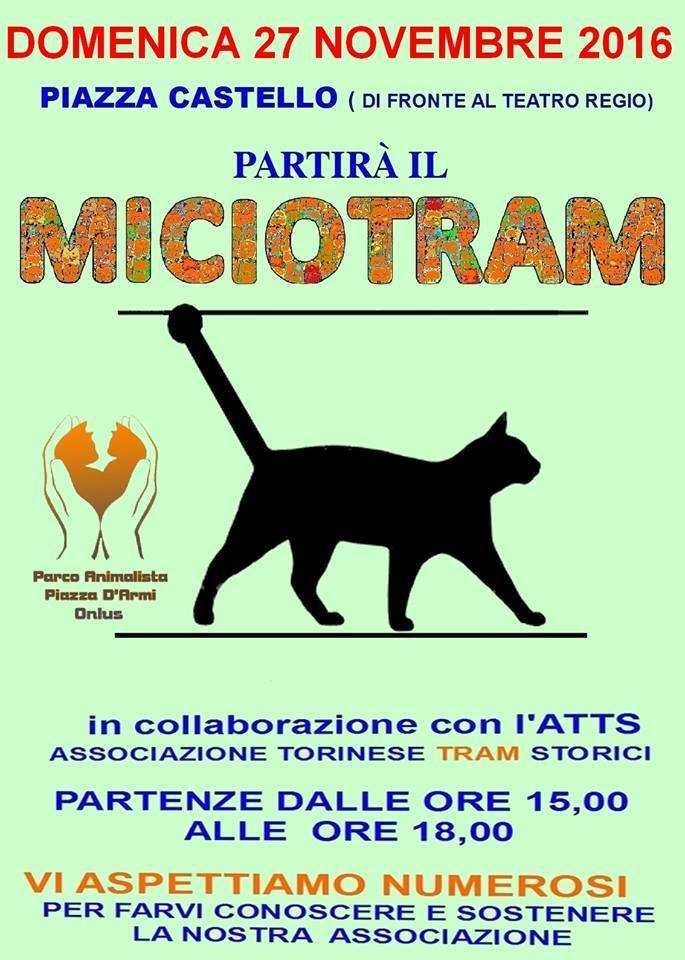 Miciotram3