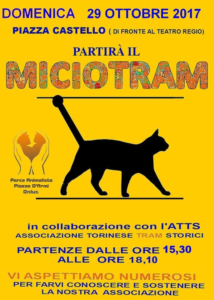 miciotram4