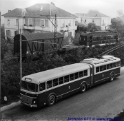 Filobus Fiat 2405