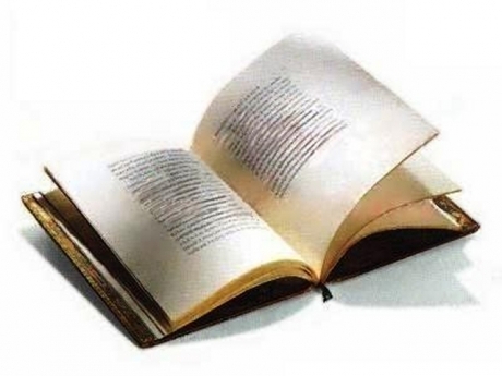 Constitution