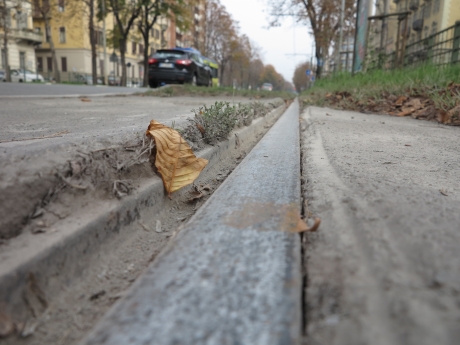 L&#039;autunno e la sabbia