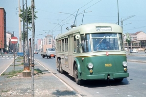 Filobus urbani a Torino