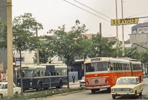 Filobus intorno a Torino