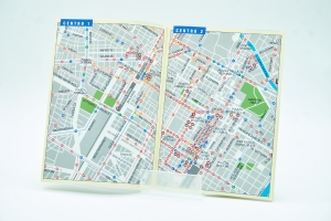 Mappa 1991