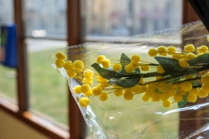 Un tram che profuma di mimosa