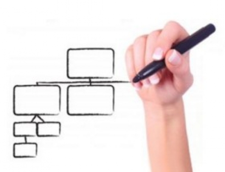 Organigramma
